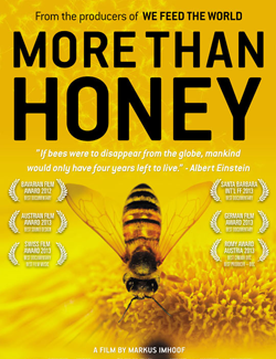 More Than Honey Co-presented by Tucson Waldorf School and The Loft Cinema Tucson